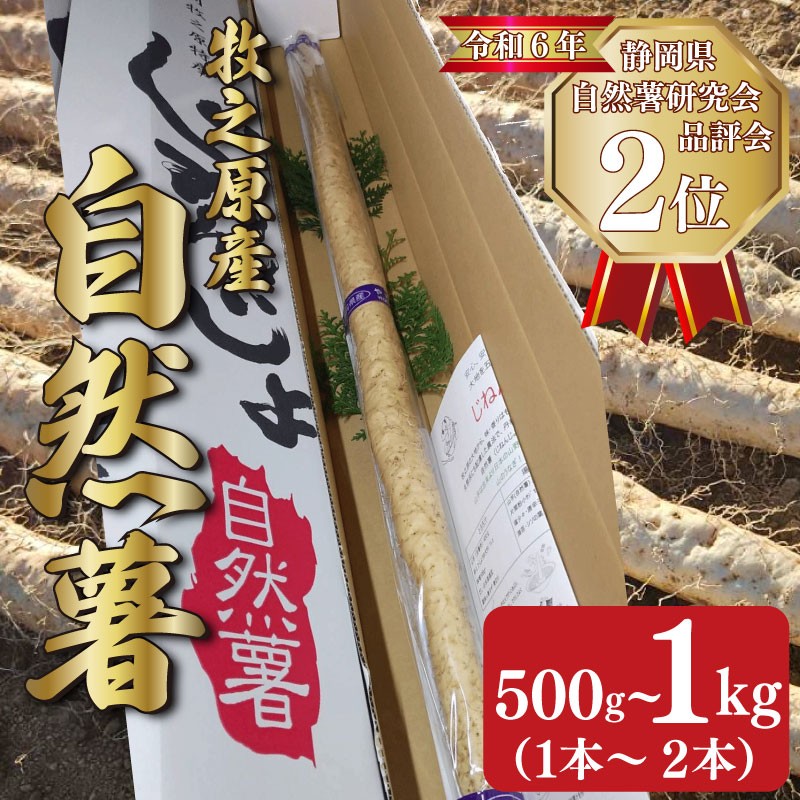
            【 予約受付 】自然薯 500g ~ 1kg 1本 ~ 2本 じねんじょ 山芋 ヤマイモ 山いも とろろ とろろ汁 国産 滋養強壮 強壮 とろろご飯 ご飯のお供 健康 栄養 美味しい おいしい 自宅用 家庭用 贈答用 贈答 贈り物 ギフト プレゼント おすすめ オススメ 産地直送 農家直送 産直 直送 静岡県産 牧之原産 お土産 とろろごはん やまいも 野菜 芋 やまあい農園 静岡県 牧之原市
          