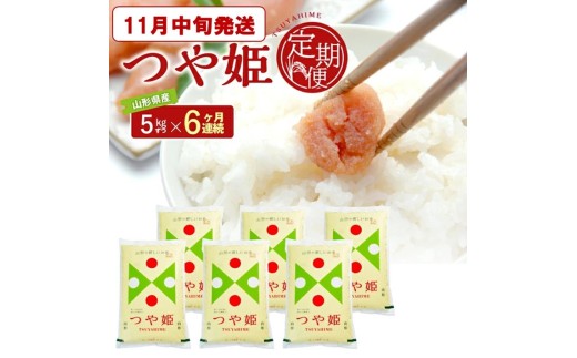 11月中旬発送開始／【6回定期便】［精米］特別栽培米 つや姫　5kg×6回(計30kg) JS　SG0188