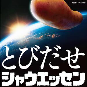 【ふるさと納税】シャウエッセン合計10袋（156g×10袋）１．５６ｋｇ