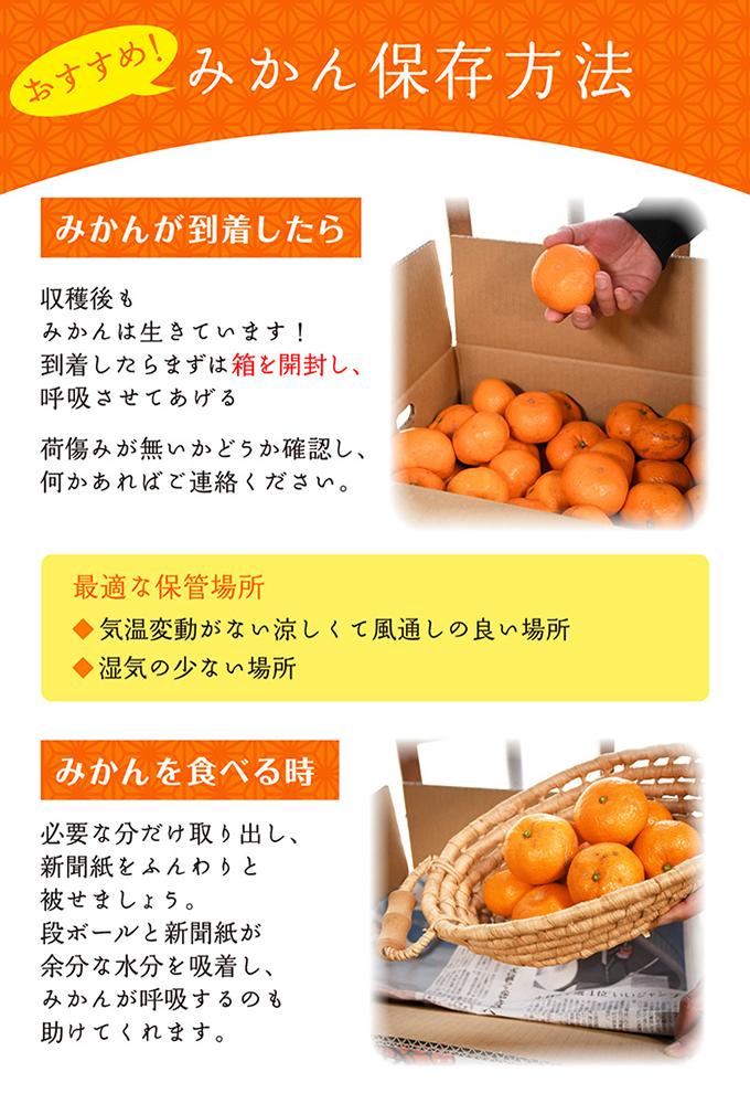 温州みかん 3kg S・M・Lサイズのいずれか【和歌山のみかん】11月～1月に和歌山鈴木農園より農園直送 温州ミカン 温州 下津みかん しもつみかん ミカン 蜜柑　mikan Sサイズ Mサイズ