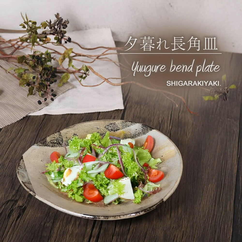 【ふるさと納税】信楽焼 山逢いシリーズ たわみパスタ皿（大） 陶器 【夕暮れ】