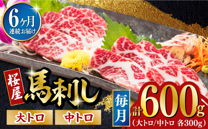 【全6回定期便】馬刺し 2種 計600g (大トロ 中トロ)各300g【有限会社 桜屋】 [YBW105]