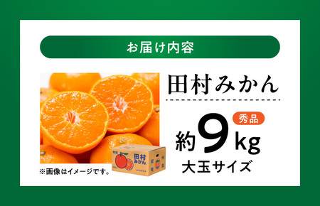 【2026年先行予約】田村みかん／9kg秀品【大玉サイズ】_V7472