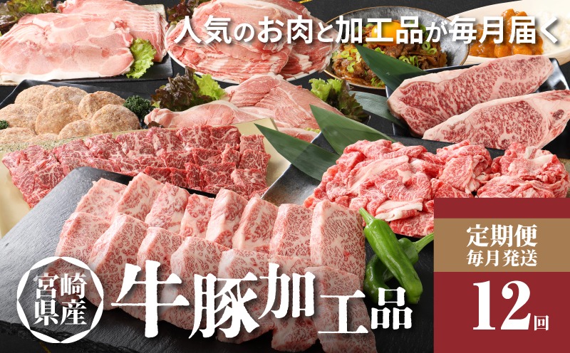  ＜12か月定期便 宮崎県産 牛・豚・加工品定期便！＞ K16_T005_1