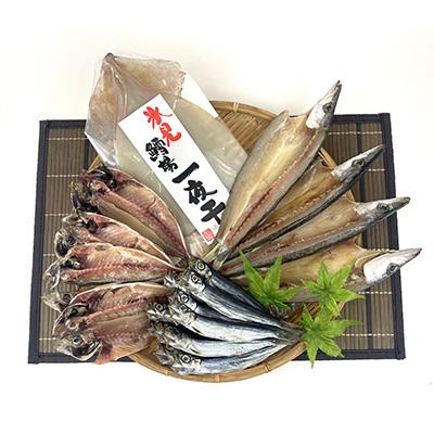 ふるさと納税 氷見市 【毎月定期便】【日本海氷見の幸】旨いもん10種!「氷見ぶり」「一夜干し」「昆布〆お刺身」全3回 |  | 01