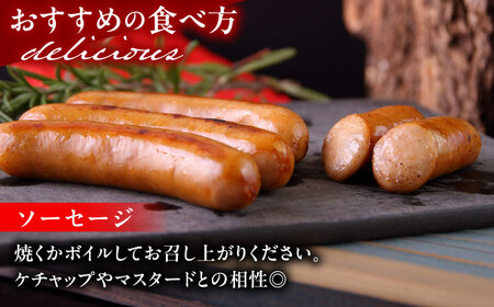 無添加ソーセージ プレーン 冷凍食べきり80g 10パック 詰め合わせ 中山道ハム【配送不可地域：離島】【1132980】