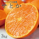 【ふるさと納税】 とろける食感！ジューシー柑橘　せとか　約3kg【予約】※2025年2月末頃～3月中旬頃発送(お届け日指定不可)