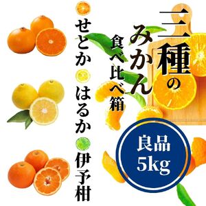 【先行予約】【三種のみかん食べ比べ箱】せとか・はるか・宮内伊予柑 （良品）約5kg　＜2月から順次発送＞ | みかんみかんみかんみかんみかんみかんみかん 【PT0051】