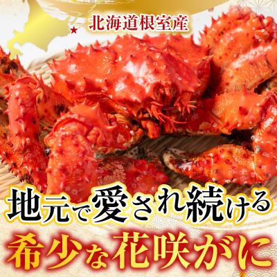 ふるさと納税 根室市 【北海道根室産】花咲かに500g前後〜650g前後×2尾 A-30054 |  | 01
