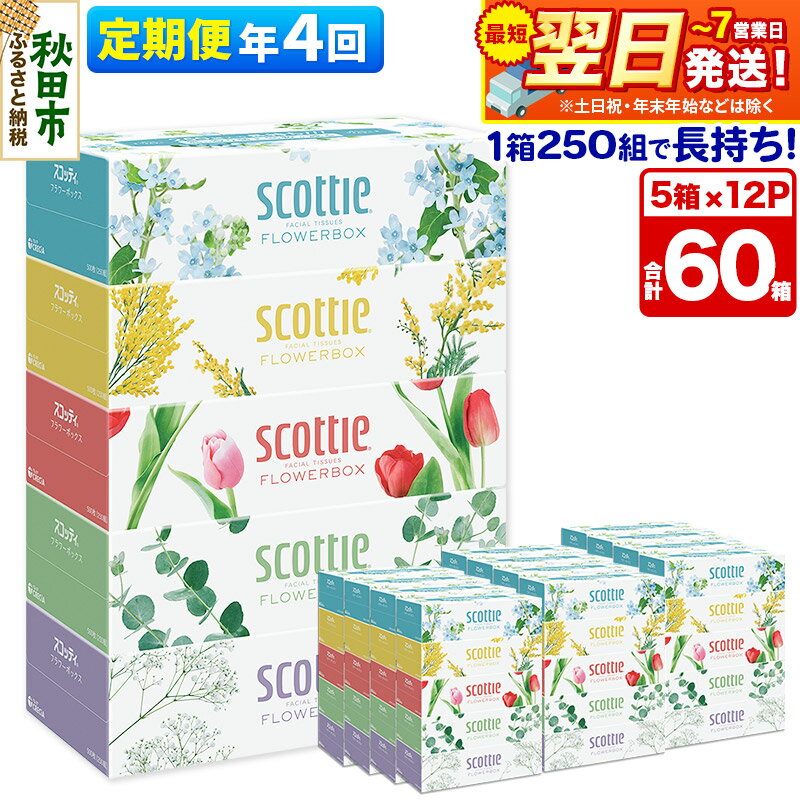 【ふるさと納税】《3ヶ月ごとに4回お届け》定期便 ティッシュペーパー スコッティ フラワーボックス250組 60箱(5箱×12パック) ティッシュ 【レビューキャンペーン中】