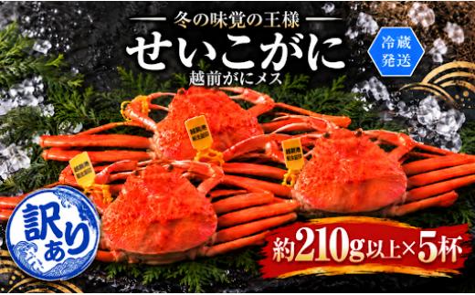 
                  【冷蔵発送】＼早期予約開始／越前がに（メス）「せいこがに」 訳あり  特大サイズ 210g前後 ×  5杯
                