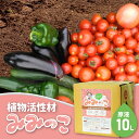 【ふるさと納税】植物 活性材 みみっこ ( 原液 ） 10L 国産 有機JAS資材 土壌 改良 天然 由来 無色 家庭菜園 野菜類 観葉植物 R14155