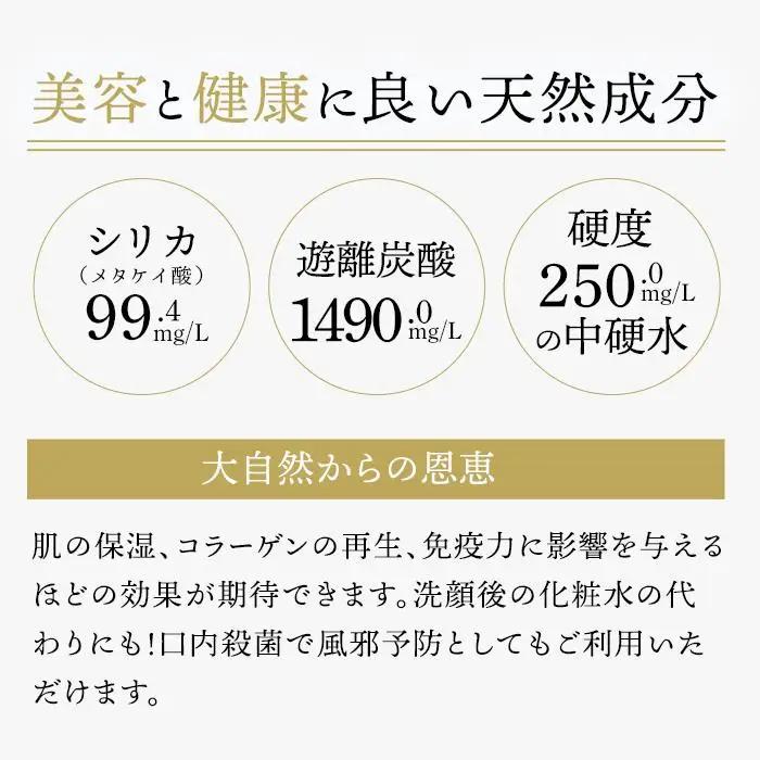 天然炭酸水Silica99　500ml×24本 | シリカ水