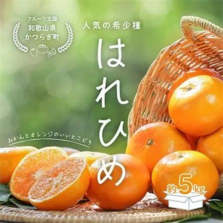 先行受付!　はれひめ(みかんの希少種)　秀品　25個～30個入　約5kg【1485755】