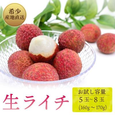 ふるさと納税 室戸市 【先行受付!令和8年6月上旬頃より発送】お試しパック 生ライチ 国産 ライチ 果物