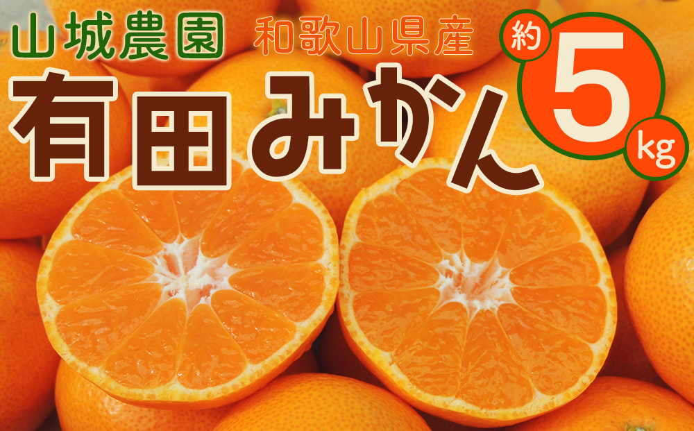 山城農園 和歌山県産 有田みかん 5kg 混サイズ 農園直送 ORYY 人気No.1 口コミ多数！   BA17