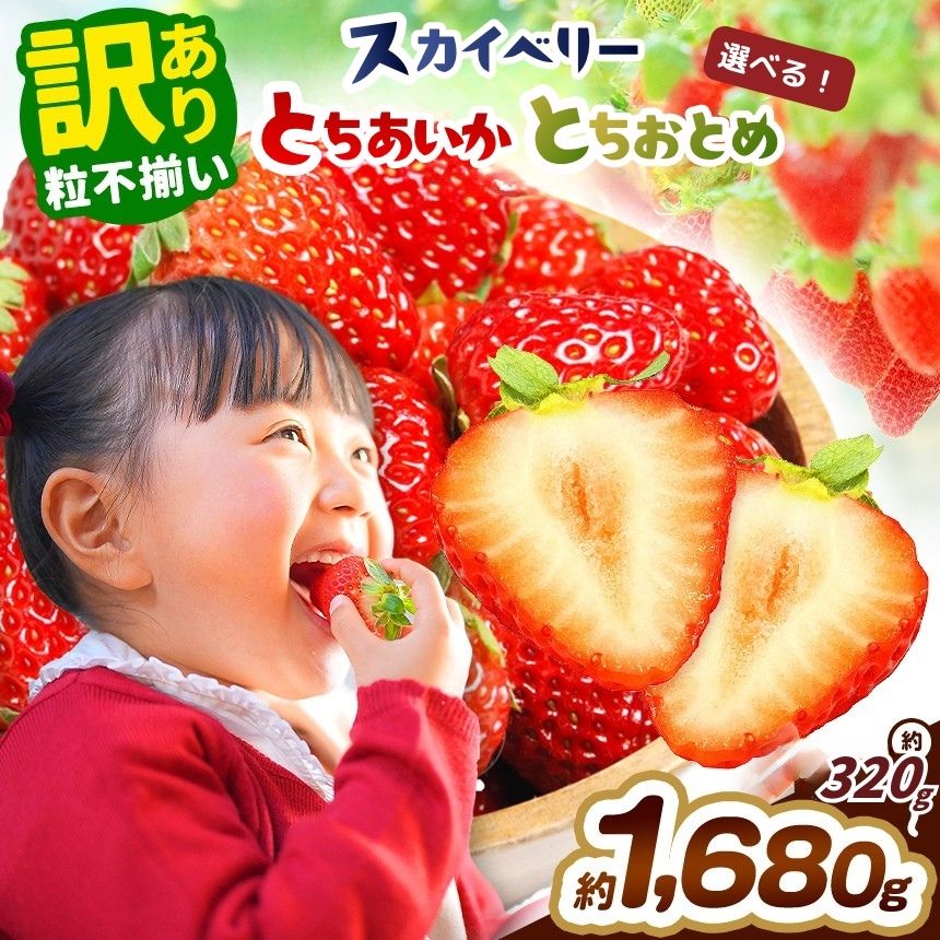 【ふるさと納税】訳あり いちご 不揃い 定期便 選べる スカイベリー とちあいか とちおとめ【先行予約 2027年発送】320g～1680g 苺 イチゴ フルーツ 栃木県 矢板市