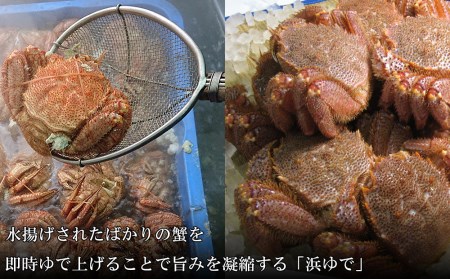 【小サイズ】北海道産 冷凍ボイル毛ガニ (300g-340g前後) 3尾 AS089