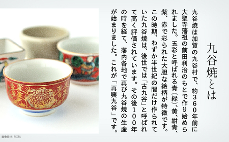九谷焼「古九谷意 葦雁図長八角 12号皿」浮田 健剛 皿 九谷焼