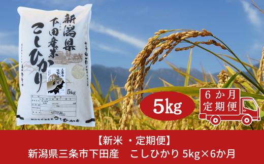 [定期便5kg×6か月] 新潟県産 こしひかり 新潟県 三条市 下田産 コシヒカリ 精米 白米 【060S007】