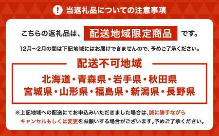 蘭 胡蝶蘭 ミディ胡蝶蘭 華あかり プレミアム 2本立ち
