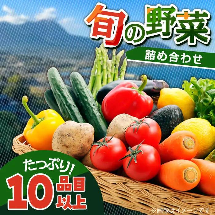 地元農家さんが収穫した旬のお野菜  10種詰め合わせ / 野菜 旬 新鮮 採れたて 季節野菜 旬野菜 農家直送 / 南島原市 / ミナサポ [SCW022]