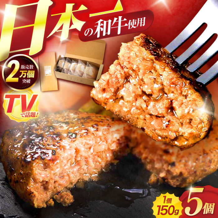 【ふるさと納税】ながさきふわとろハンバーグ 150g×5個入 / ハンバーグ はんばーぐ 肉 牛肉 豚肉 おかず 惣菜 / 諫早市 / ワールド・ミート有限会社[AHBG005]