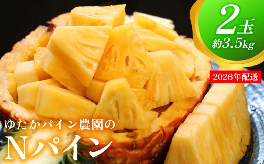ゆたかパイン農園のNパイン　2玉（約3.5kg） 2026年発送 沖縄県産 東村 パイナップル ジューシー 希少 高級フルーツ 南国フルーツ 国産フルーツ 農家直送 パイン 果物 贈り物 おすすめ お土産 人気 やんばる 大自然 南国気分 沖縄本島北部