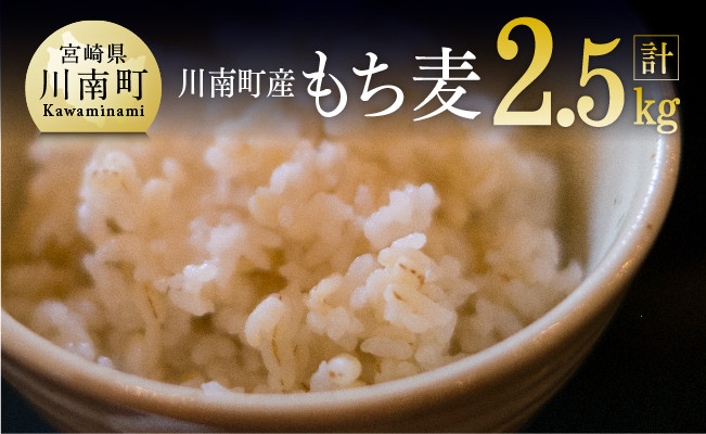 令和4年産 もち麦 2.5kg（500g×5袋）【国産 麦 もち麦 食物繊維】