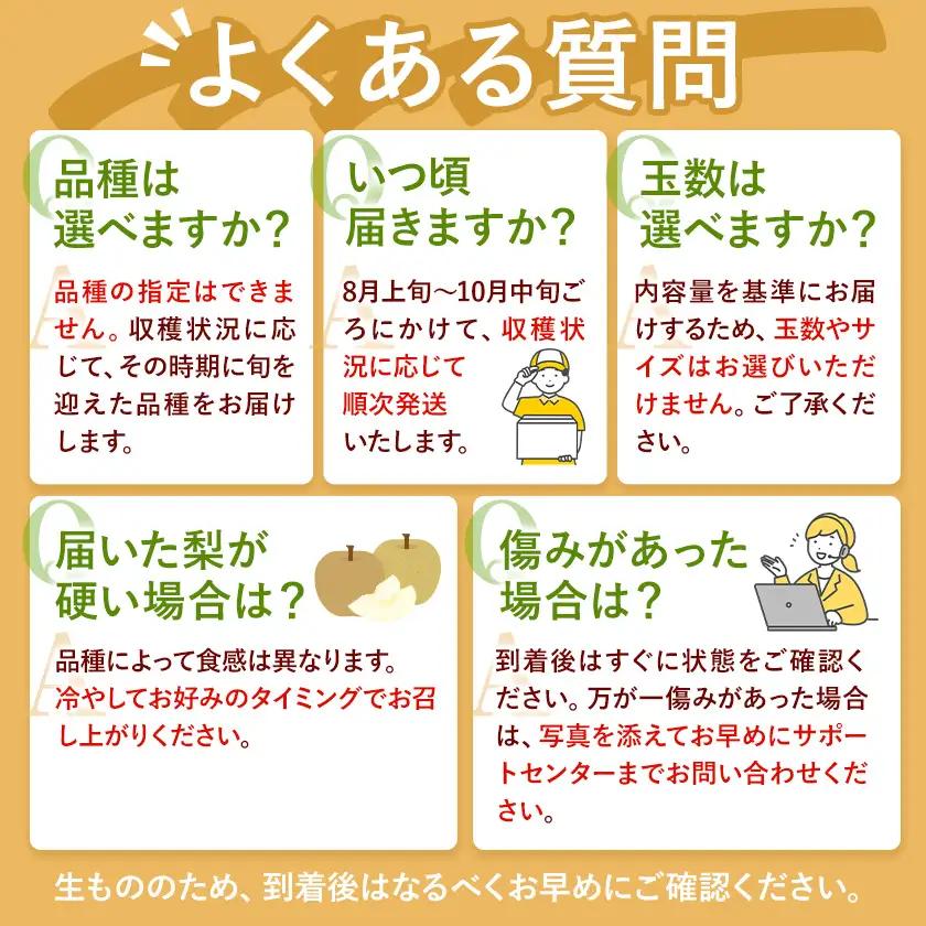 訳あり 旬の梨 約4kg 幸水 豊水 あきづき 新高 にっこり《8月上旬-10月中旬頃出荷予定》幸水梨