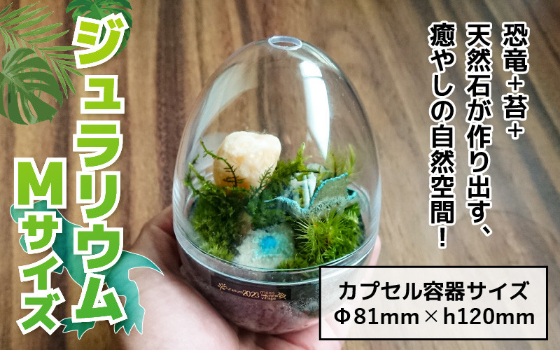 
                  恐竜＋苔＋天然石が作り出す、癒やしの自然空間！ ジュラリウム Mサイズ | テラリウム 苔テラリウム 苔インテリア インテリアグリーン ミニチュアガーデン ジオラマ 恐竜インテリア 恐竜グッズ 癒しインテリア 癒しグッズ 観葉植物代替 卓上インテリア 天然石 インテリア雑貨 ギフト プレゼント ジュラリウム Mサイズ [A-070002]
                