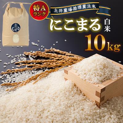 ふるさと納税 諫早市 【土井農場】特Aランクに輝いた「にこまる」10kg(白米)