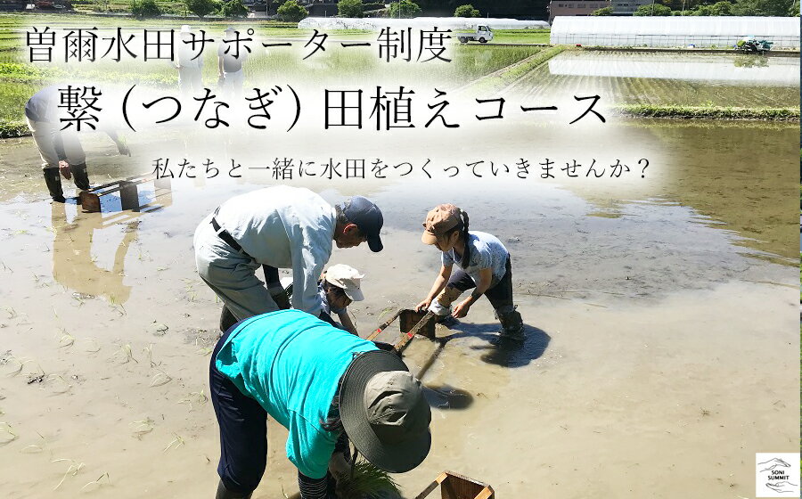 【ふるさと納税】【2026年体験分】曽爾 水田サポーター制度 繋(つなぎ) 田植えコース ​( 2026年度お申込み用 ) // 田んぼオーナー お米オーナー 景観保護 米作り 水田作業 田植え 草引き 稲刈り 玄米3kg 体験 経験