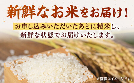 【佐賀県白石産】さがびより 計10kg（5kg×2袋）【ちわたのふぁーむ】[IDE002]