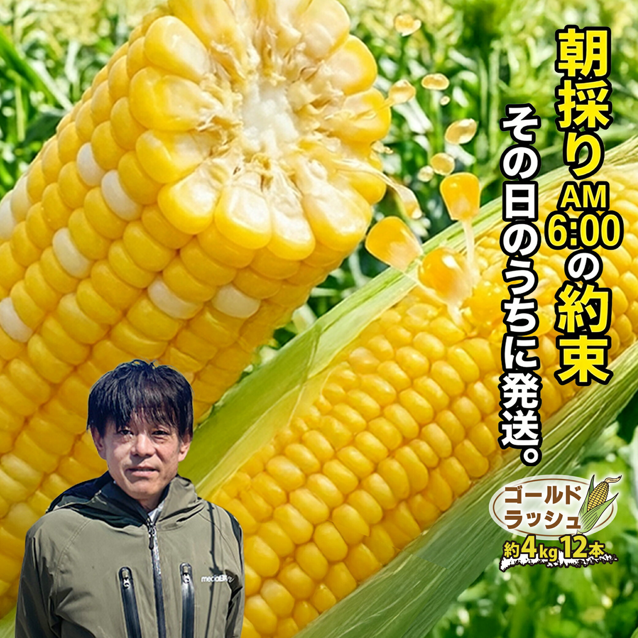 【ふるさと納税】 ＜2026年発送先行予約＞山梨県産 とうもろこし（ゴールドラッシュ）12本入り（約4kg） | ふるさと納税 トウモロコシ　おすすめ 山梨県 南アルプス市 送料無料 ALPES001