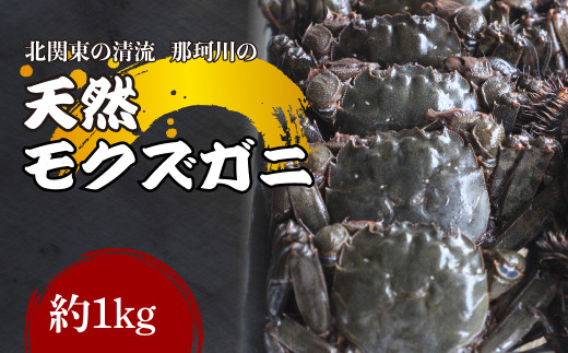 天然モクズガニ 北関東の清流「那珂川産」 1kg(5～10匹) 冷凍 | 蟹 カニ もくずがに もくずかに 天然 新鮮 北関東 清流 蒸し カニ味噌 味噌汁 Riverline 栃木県 茂木町