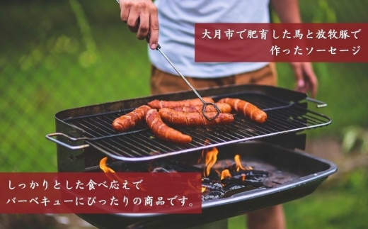 馬豚（バトン）ソーセージ 26本（馬肉70％・豚肉30％）