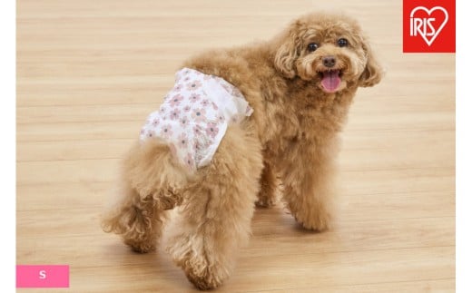 
            【36枚入り×6袋】ペット用おむつ　ピタフィット　Ｓ　３６枚入　女の子用　　NPD-S36
          