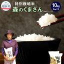 【ふるさと納税】【令和6年産】相良村産 特別栽培米 森のくまさん 合計10kg 5kg×2 【2024年10月下旬～2025年10月下旬発送予定】 お米 白米 精米 熊本県産 国産 九州産 送料無料