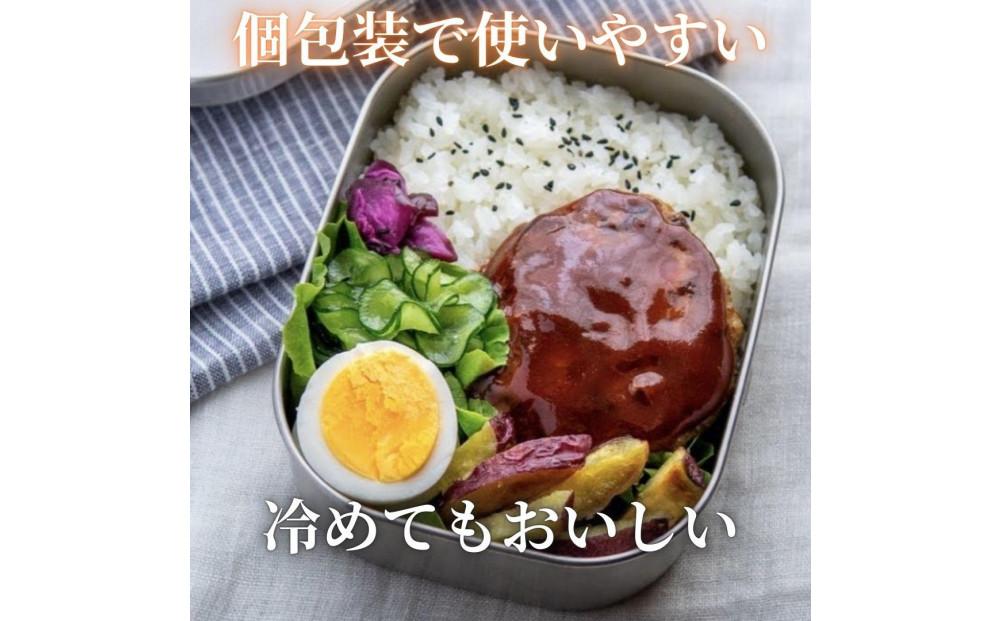 ＜おおいた和牛100％使用＞デミハンバーグ 個包装 10個 計約1.5kg
