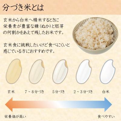ふるさと納税 小矢部市 【新米先行受付 2025年10月上旬〜順次発送】令和7年富山県産「富富富」(5分づき)10kg×1袋 |  | 02