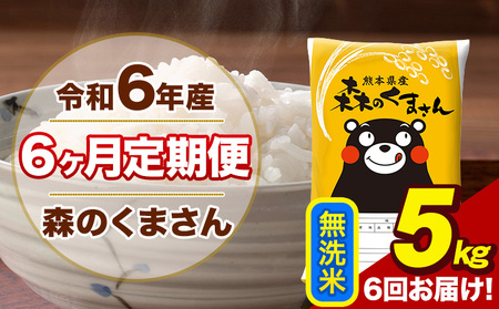令和6年産 森のくまさん 無洗米 5kg 5kg×1袋 計6回お届け 《お申し込み月の翌月から出荷開始》 お米 こめ 熊本県産 ご飯 備蓄