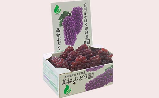 
高松種なしぶどう
