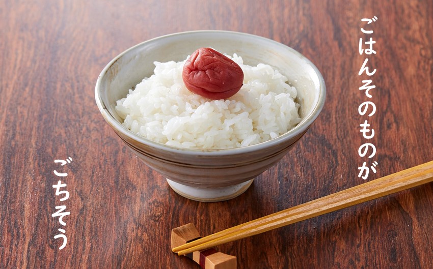 こだわりのお米　つや姫　白米10kg（飯豊町産）