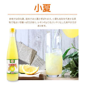 オレンジ園の濃縮ジュース 小夏 500ml 3本 6回定期便 希釈用 【J00115】