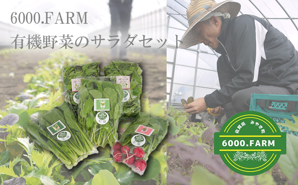 FV018_有機野菜のサラダセット／みやき町