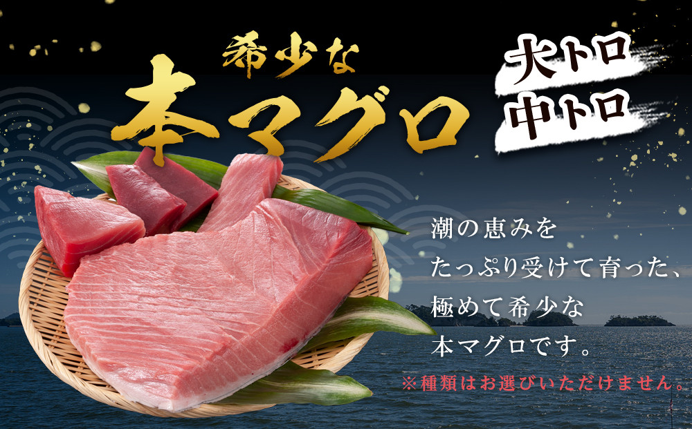 本マグロ トロセット 400g | 【年末年始お届け可能】大トロ 中トロ 鮪 刺身 寿司 お正月