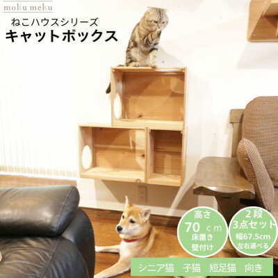 【ふるさと納税】床置きタワー・壁付けキャットウォークで使えるキャットボックス　2段3点セット(右上がり)【1186735】