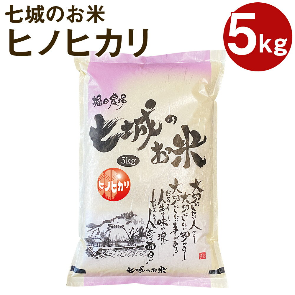 【ふるさと納税】七城のお米 ヒノヒカリ 5kg 白米 精米 令和7年産 お米 ひのひかり 熊本県産 九州産 送料無料《10月中旬頃より出荷》