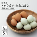 【ふるさと納税】生で食べて美味しい　アロウカナ　奈良たまご　30個セット　6個×5パック　幸せの青いたまご　奈良養鶏園　農場HACCP認証　船橋産　希少　卵　玉子　鶏卵　たまごかけご飯　TKG